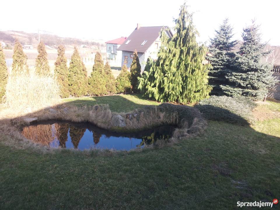 sprzedam dom 3500m2 Rzeczyca Mokra