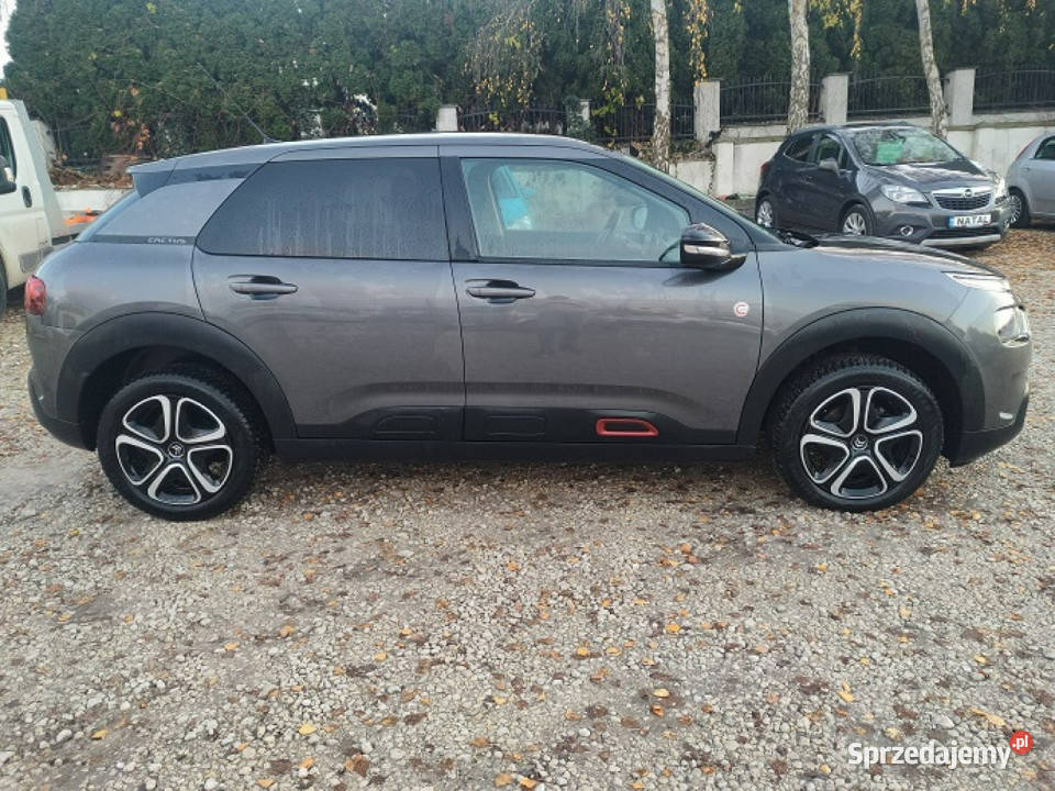 Citroen C4 Cactus Super Stan Mały Przebieg garażowany Bydgoszcz