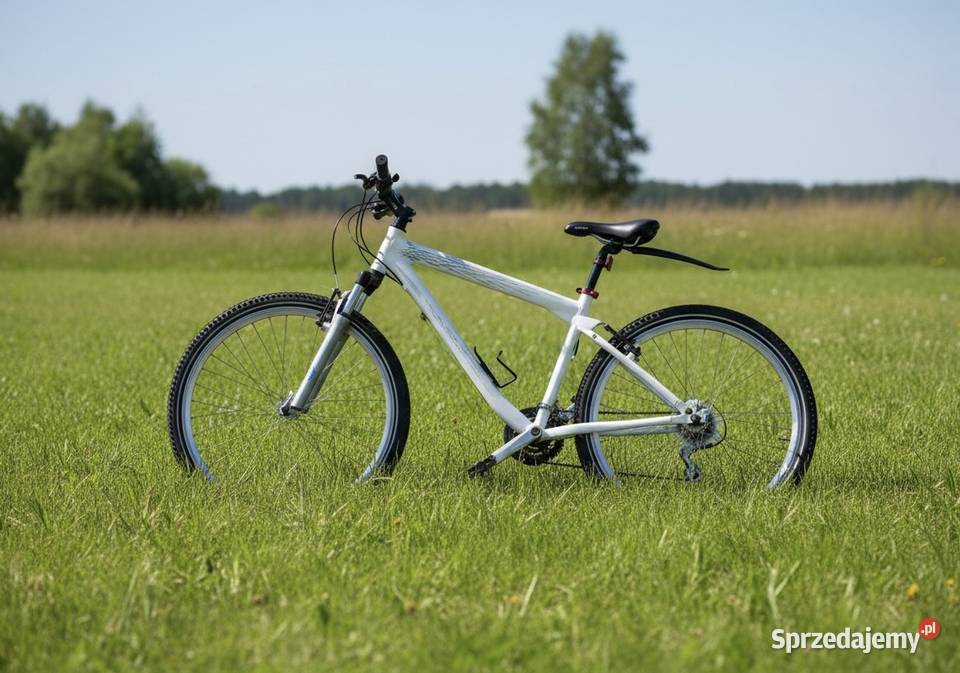 Rower BMW oryginalny cruiser Warszawa Kraków Szosowe Kętrzyn
