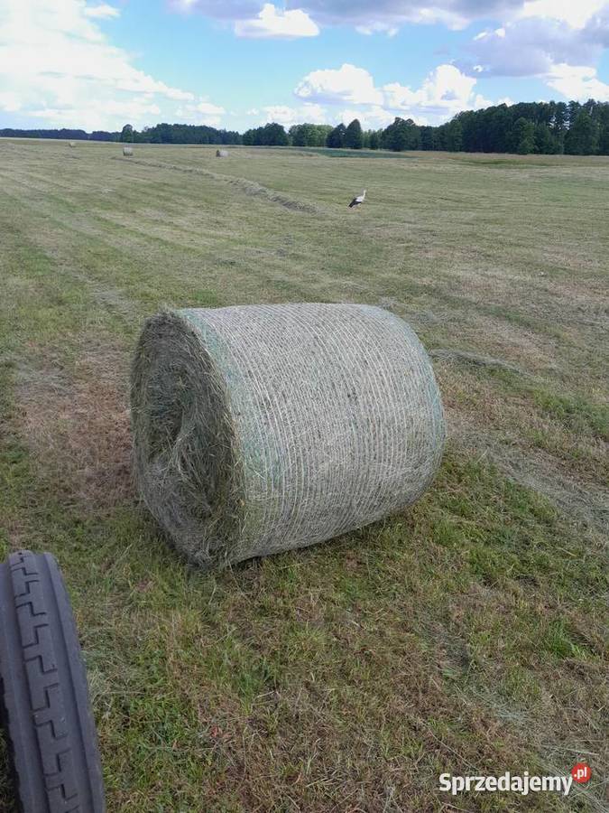 Sprzedam siano słomę Kock