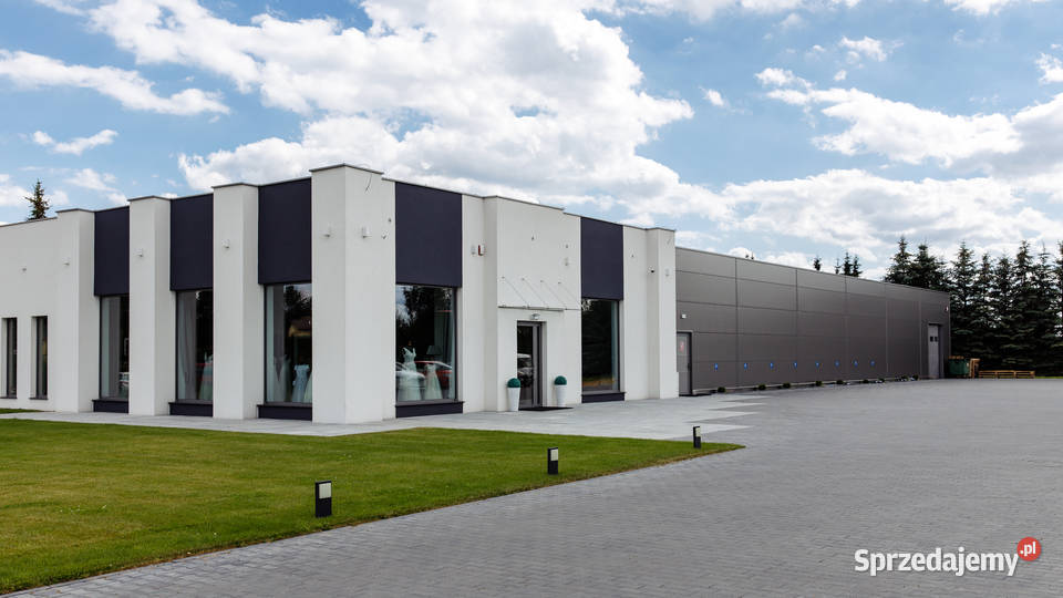 Spawanie konstrukcji stalowych Hale przemysłowe