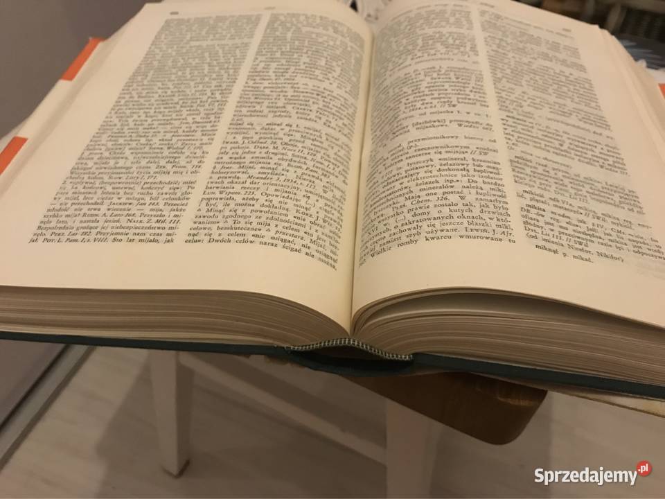 Jedenasto to mowy słownik języka polskiego wielkopolskie Poznań