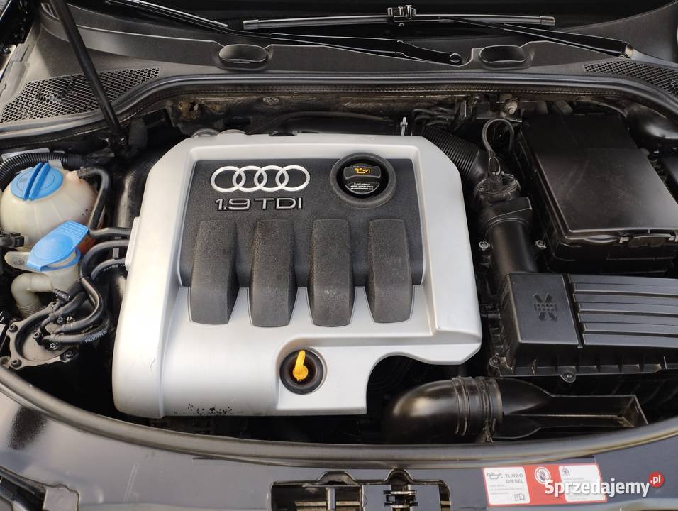 Audi A3 8P 19 TDI 105 BKC Najlepszy silnik SLINE gniazdo USB Kielce