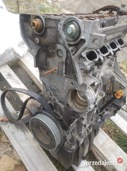 Silnik blok silnika 20 alt Audi A4 B6 dolnośląskie Chojnów