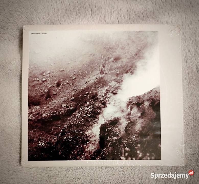 Ribozyme Presenting The Problem CD alternative Rybnik