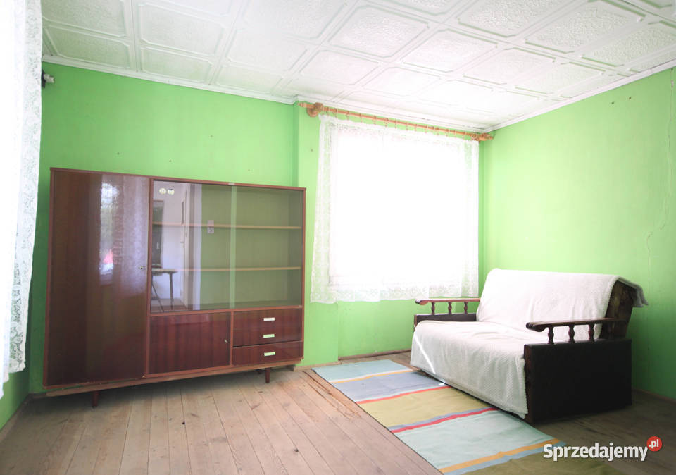 Zadbana działka ROD Ławica Poznań