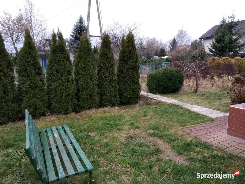 DZIAŁKA ROD TYSIĄCLECIE CZĘSTOCHOWA Częstochowa