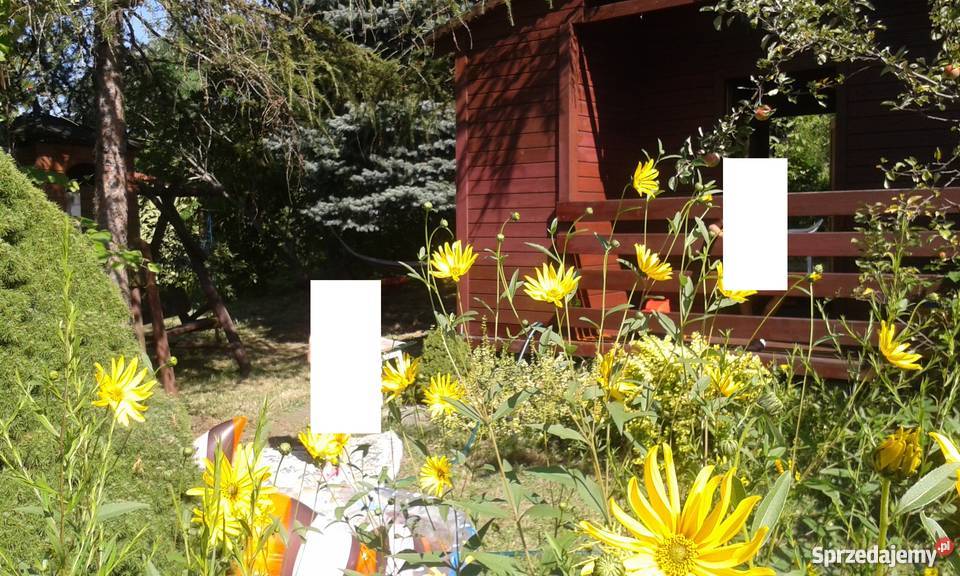 Sprzedam ogródek działkowy prąd Ustroń