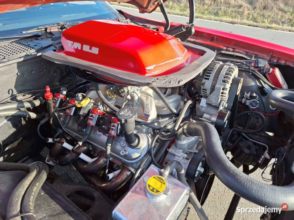 1980 Trans Am 60 Vortec LQ9 automatyczna Świecie