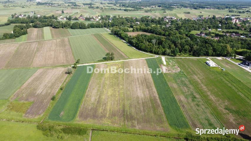 Działka Strzelce Wielkie 3188m2 sprzedam