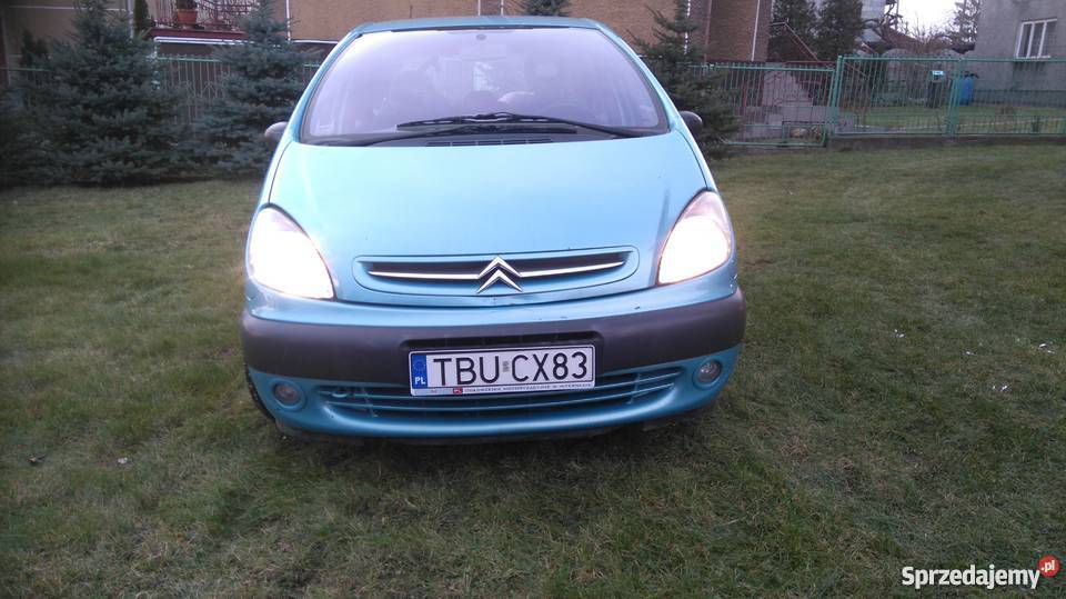 Cytryna xsara Picasso Busko-Zdrój