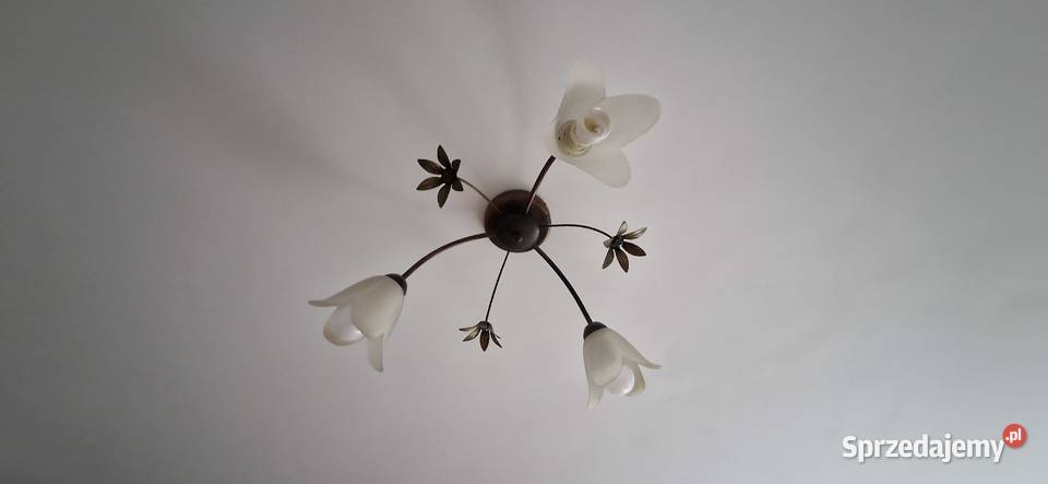 lampa sufitowa trzyramienna kwiat kwiatki Kraków