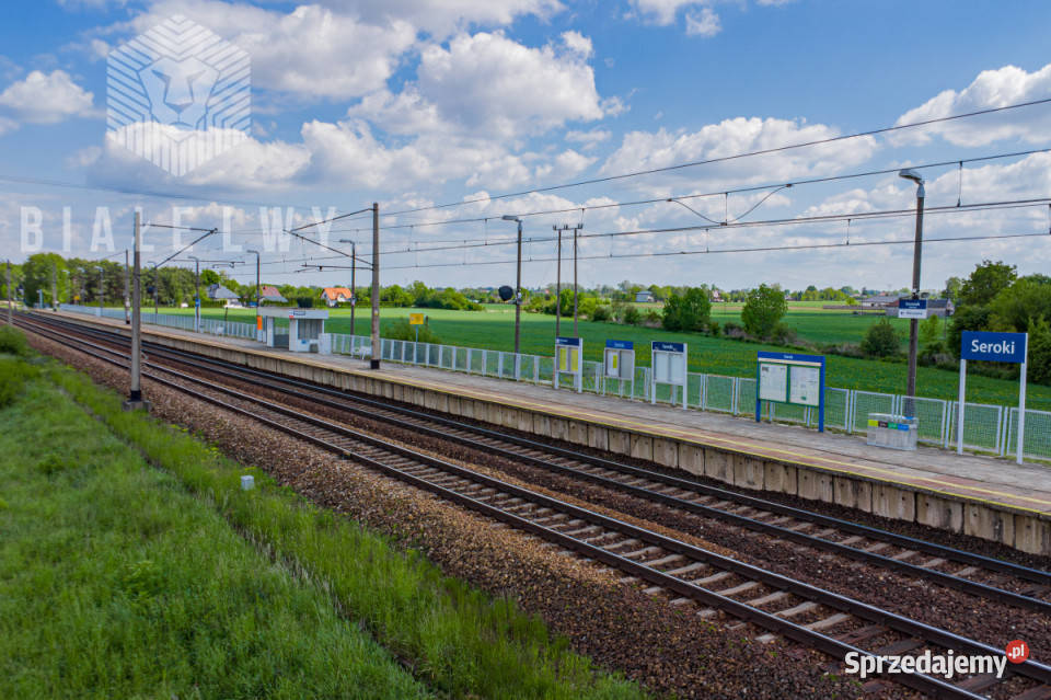 Sprzedam grunt BieniewoWieś 2777m2 sprzedam