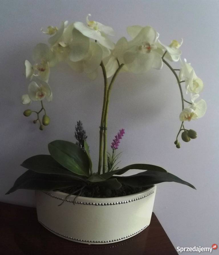 Storczyk storczyki sztuczne kwiaty TOTALNA Gdańsk