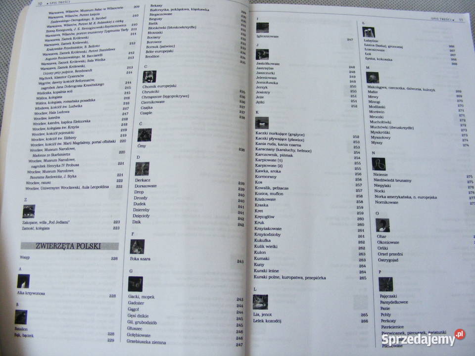 Monarsze sekrety Jankowski Ilustrowana miękka dolnośląskie Oborniki Śląskie