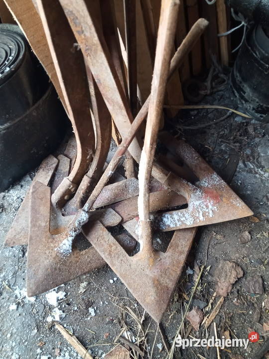 Gęsia stopka Mrocza