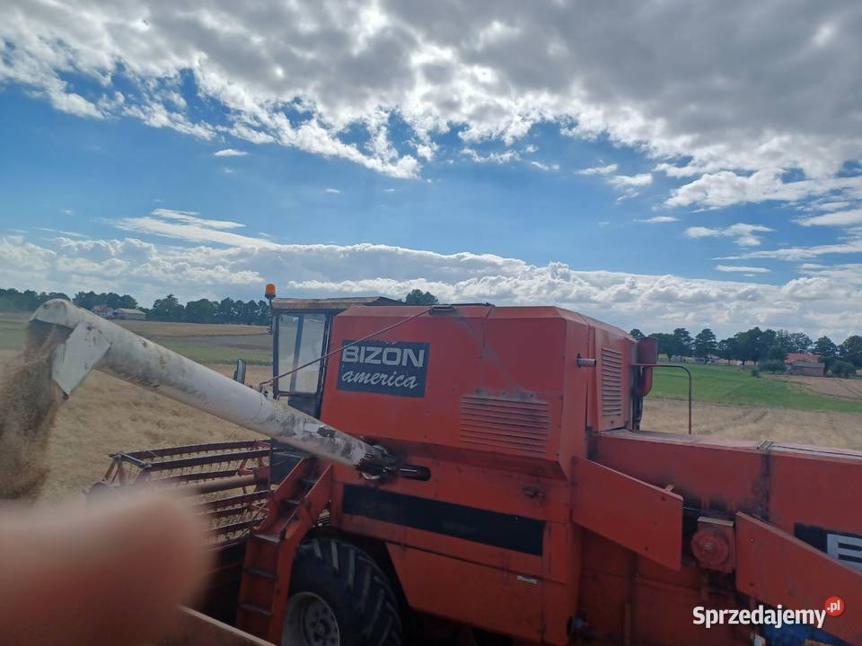 BIZON AMERICA z056 WEKSPORTOWA Zbożowe