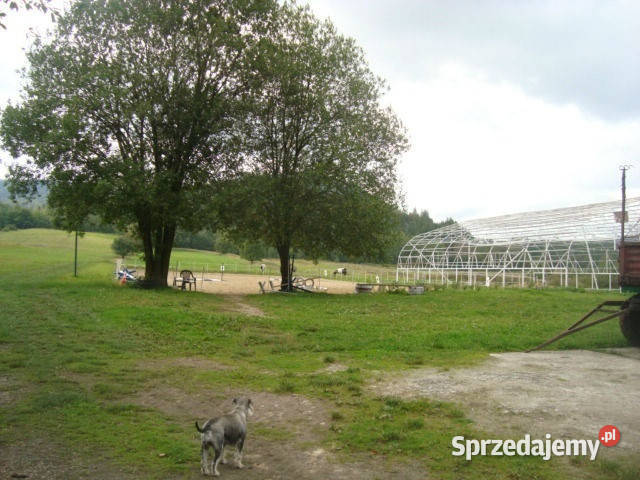 sprzedaży lokalu 500m2 Wałbrzych sprzedam