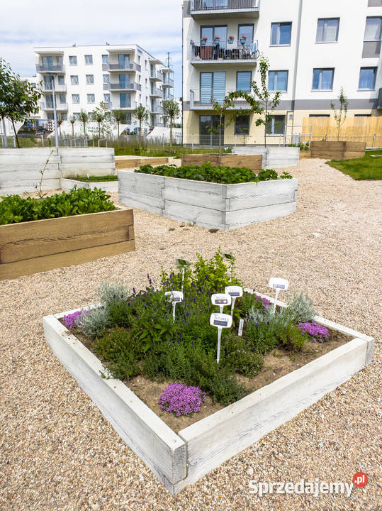 Warzywnik betonowy inspekt Skrzynia na warzywa Warszawa