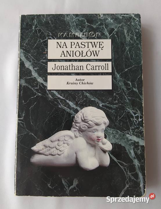 NA PASTWĘ ANIOŁÓW – Jonathan Carroll