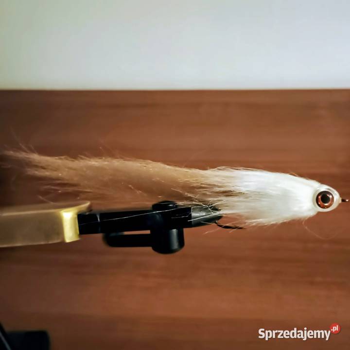Streamer Pike Assassin 15 Bielsko-Biała