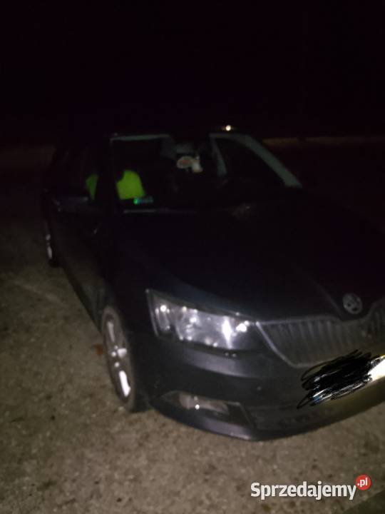 Auto Skoda asystent parkowania śląskie Woźniki