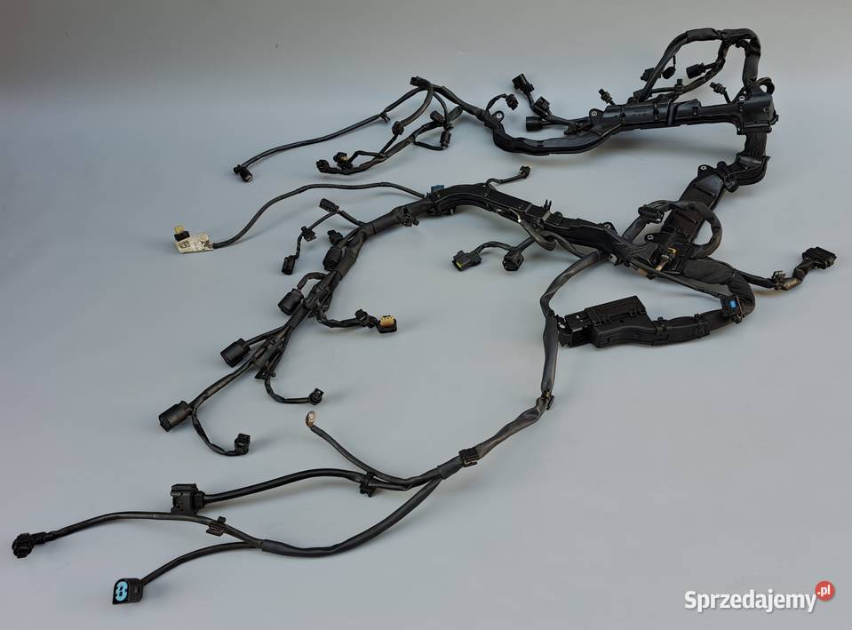 Wiązka Silnika Mercedes M157 M278 AMG Mielęcin