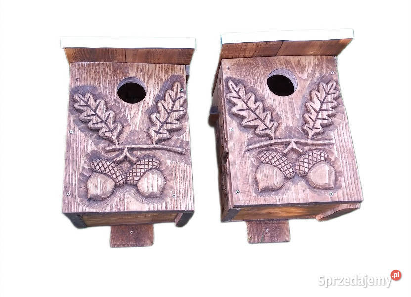 domek wiewiórki Puławy