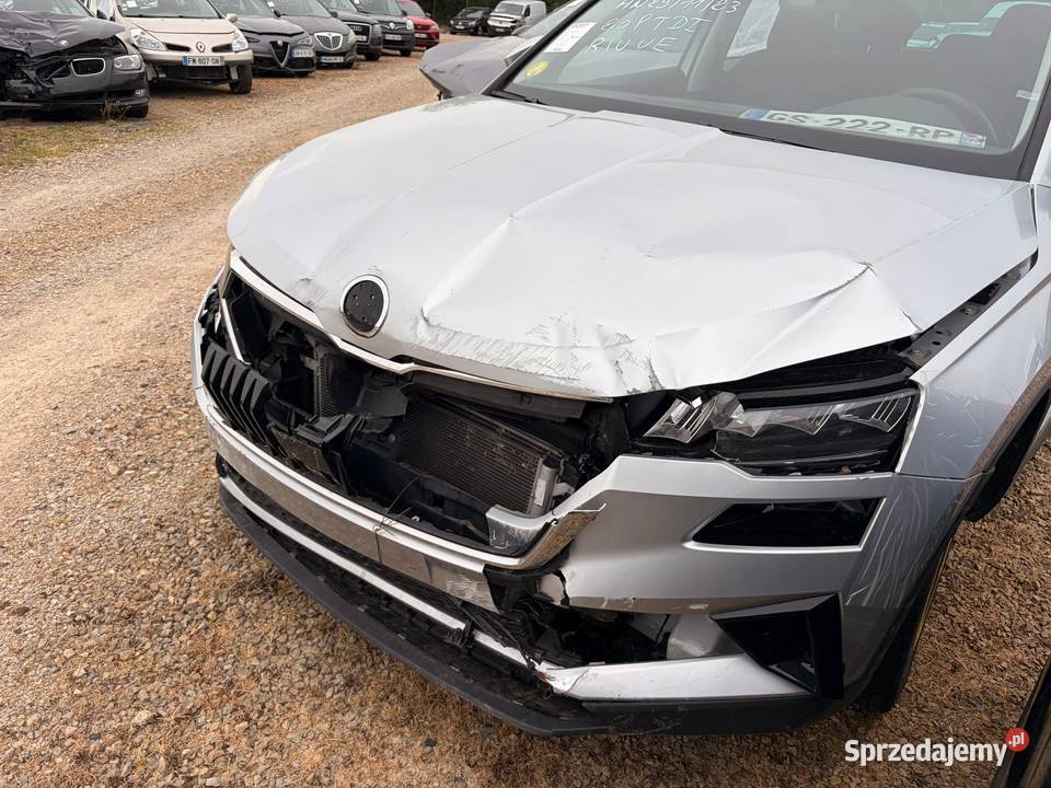 SKODA Karoq 20 TDi 115 Business DSG7 GS222 Płońsk