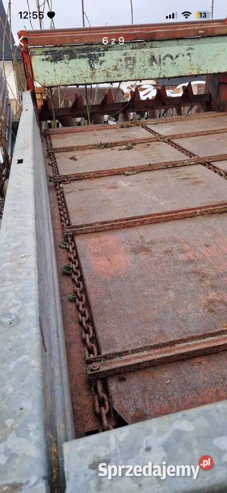 Rozrzutnik vogel and noot nieuszkodzony