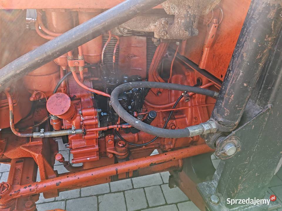 WładimirecWladimirec T25 A2 z ładowaczem Grybów