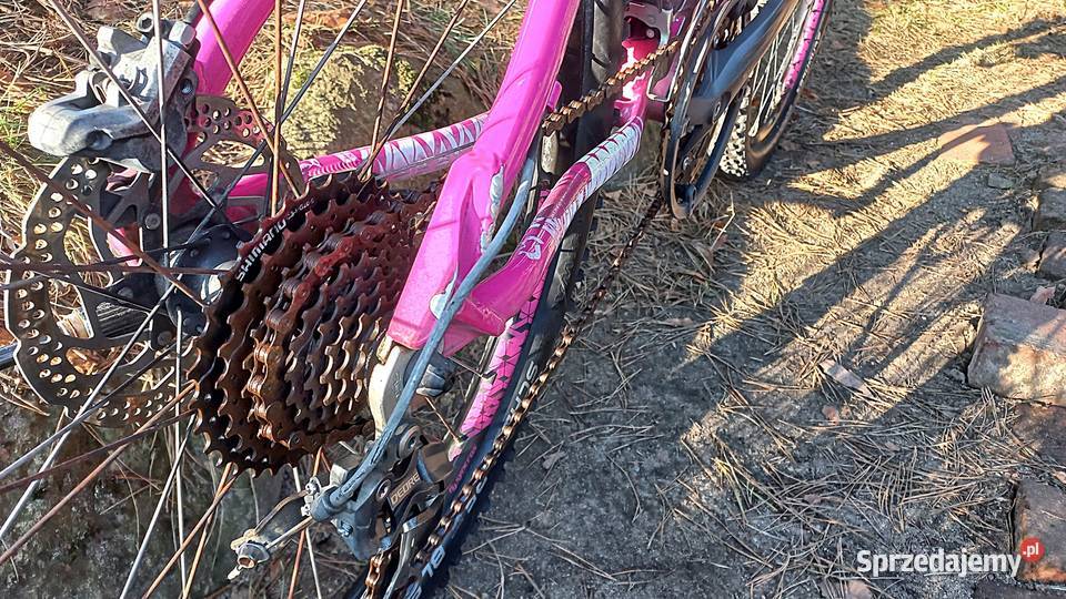 Alu Rower Górski Mtb Młodzieżowy Scott Contessa