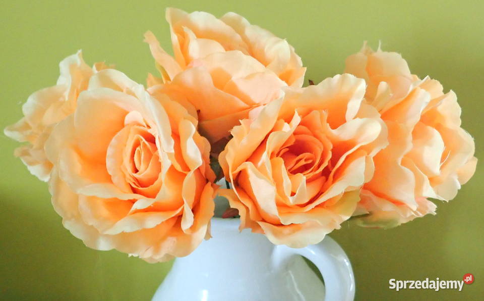 Róża rozwinięta brzoskwiniowa 1 śr 9 P1414 Siewierz sprzedam