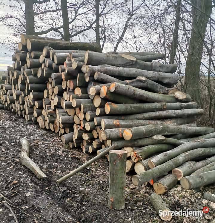 JesionDąb Pocięty na klocki 350M Połupany 400M Sobótka