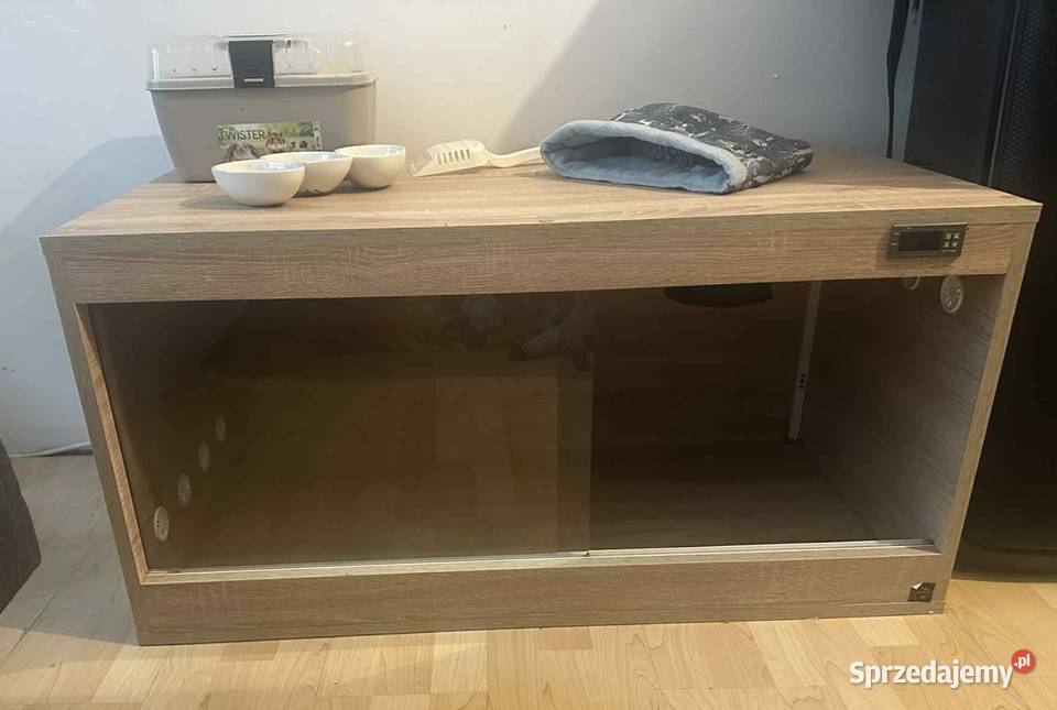 Jeż Pigmejski podkarpackie Mielec