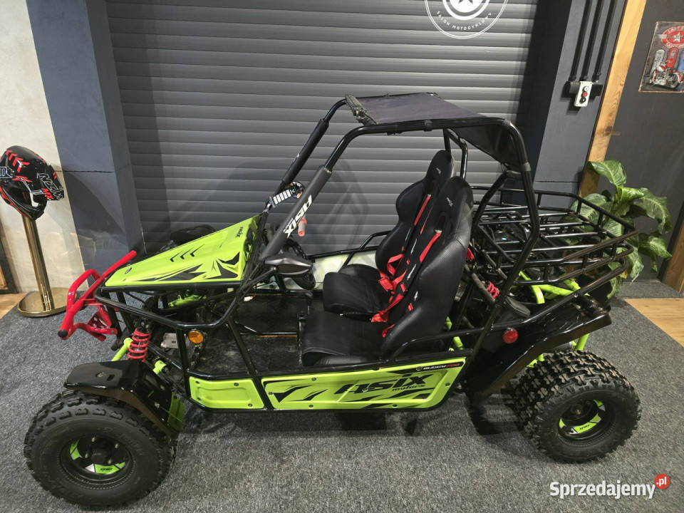 ASIX Inny ASIX BUGGY200 a 2 osoby dzieci duży i benzyna Bicz sprzedam
