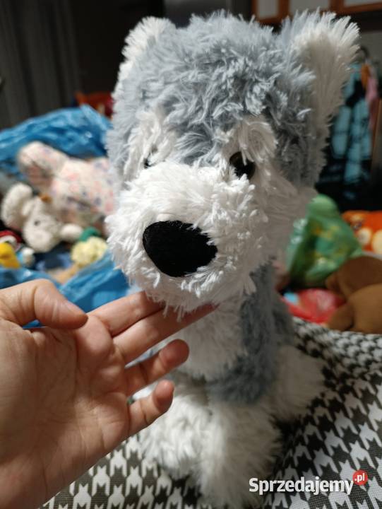 pies maskotka pluszak zabawka pluszowa wielkopolskie