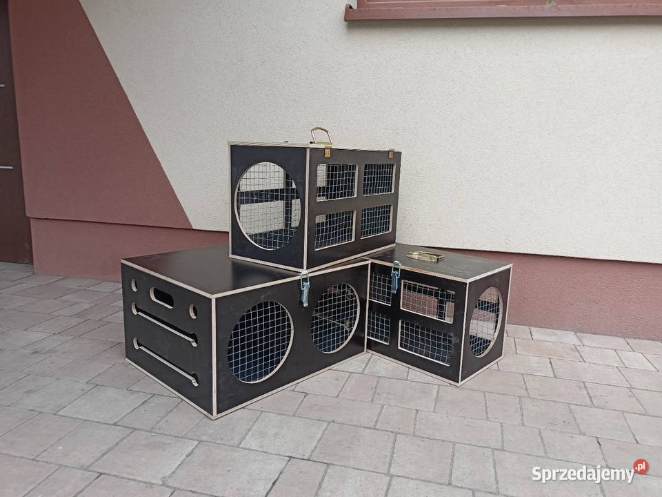 Transporter królików Króliki podkarpackie