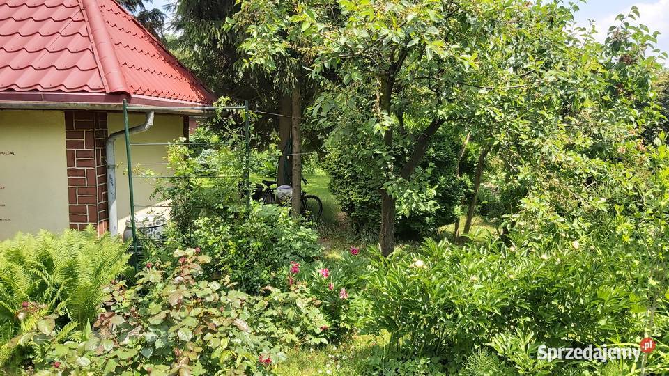 Działka rekreacyjna ROD Kraków Dąbie