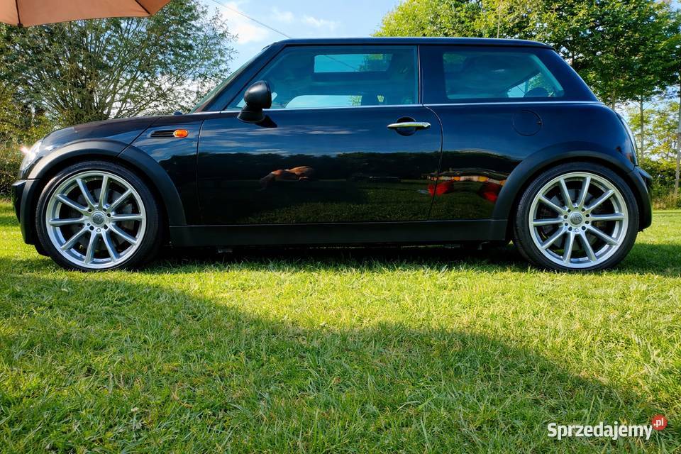 Mini Szwajcar Konin wlkp