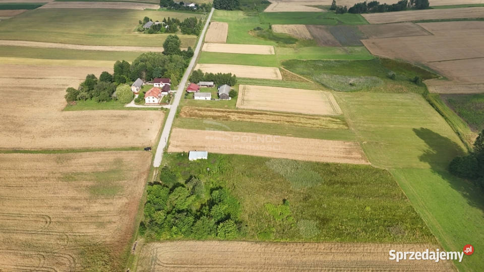 Sprzedam siedlisko w Bożej Woli gm Adamów lubelskie Boża Wola