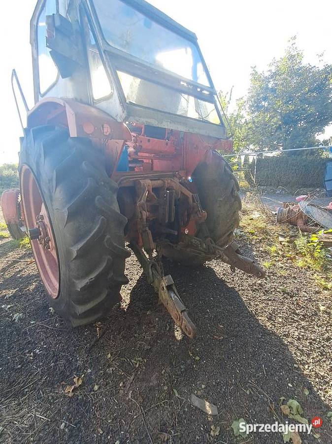 Białoruś jumz Zielona Góra