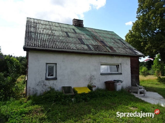 Syndyk sprzeda udziały 316 316 Sadek 90