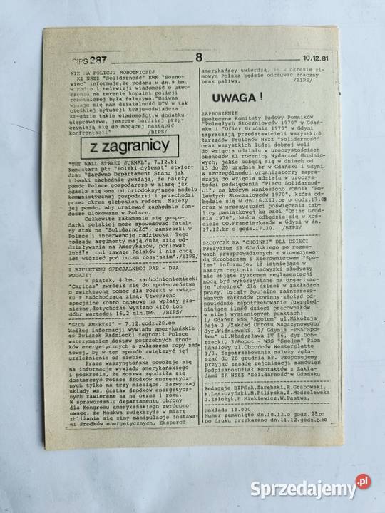 BIPS Serwis Informacyjny KKP NSZZ Solidarność Rok wydania 1981 Gdynia sprzedam