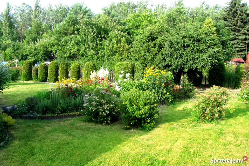 Działka pracownicza ROD Księży Młyn siatka Łódź