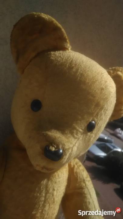 Mis trociniak PRL Częstochowa