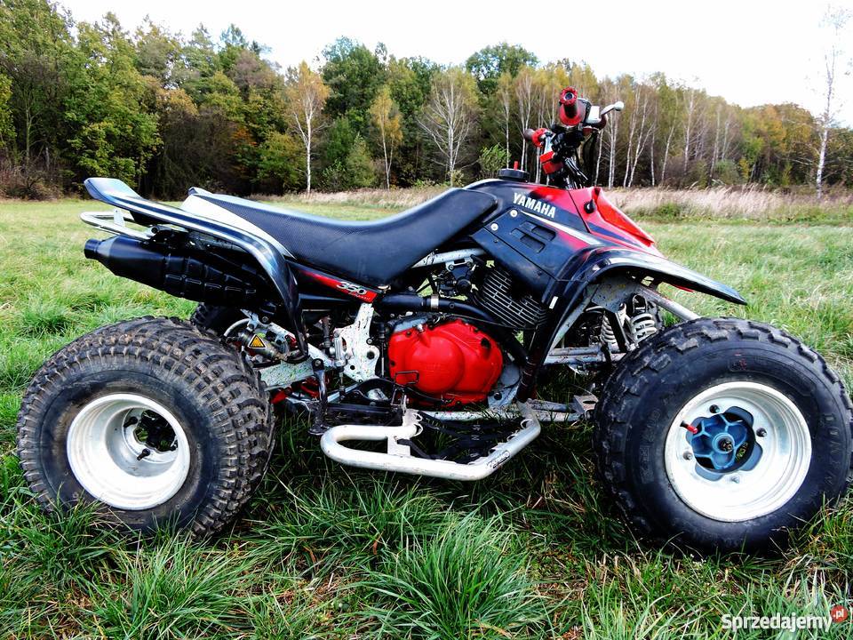 Quad Yamaha Warrior Raptor YFM 350 OFFROAD LTZ metalic
