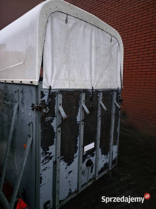 Zabudowa Koniowózka Przyczepka Samochodowa Wyszków