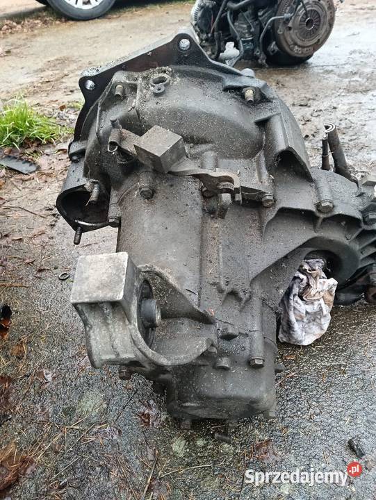 FELICJA 19 DSKRZYNIA BIEGOW Jastrzębia Góra