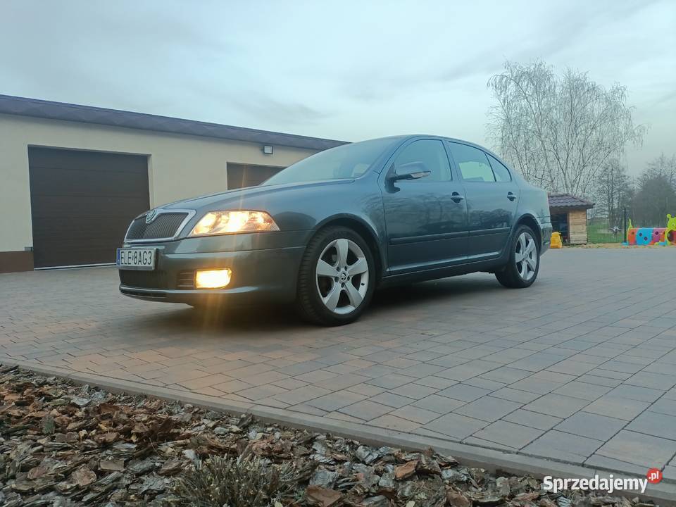 Skoda Octavia II 19TDI Łęka-Kolonia